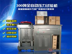 300噸全自動恒應(yīng)力壓力試驗機DYE-3000D型電液伺服